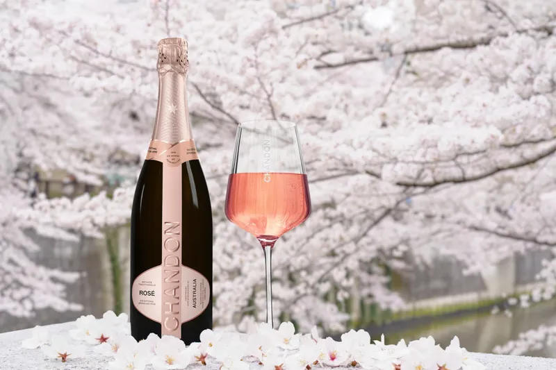 目黒川お花見CHANDONクルーズ_4
