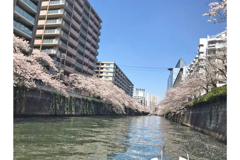 目黒川お花見CHANDONクルーズ_5