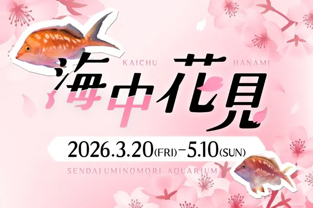 海中花見