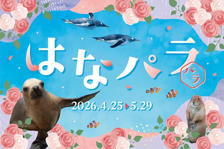 はなパラ_1