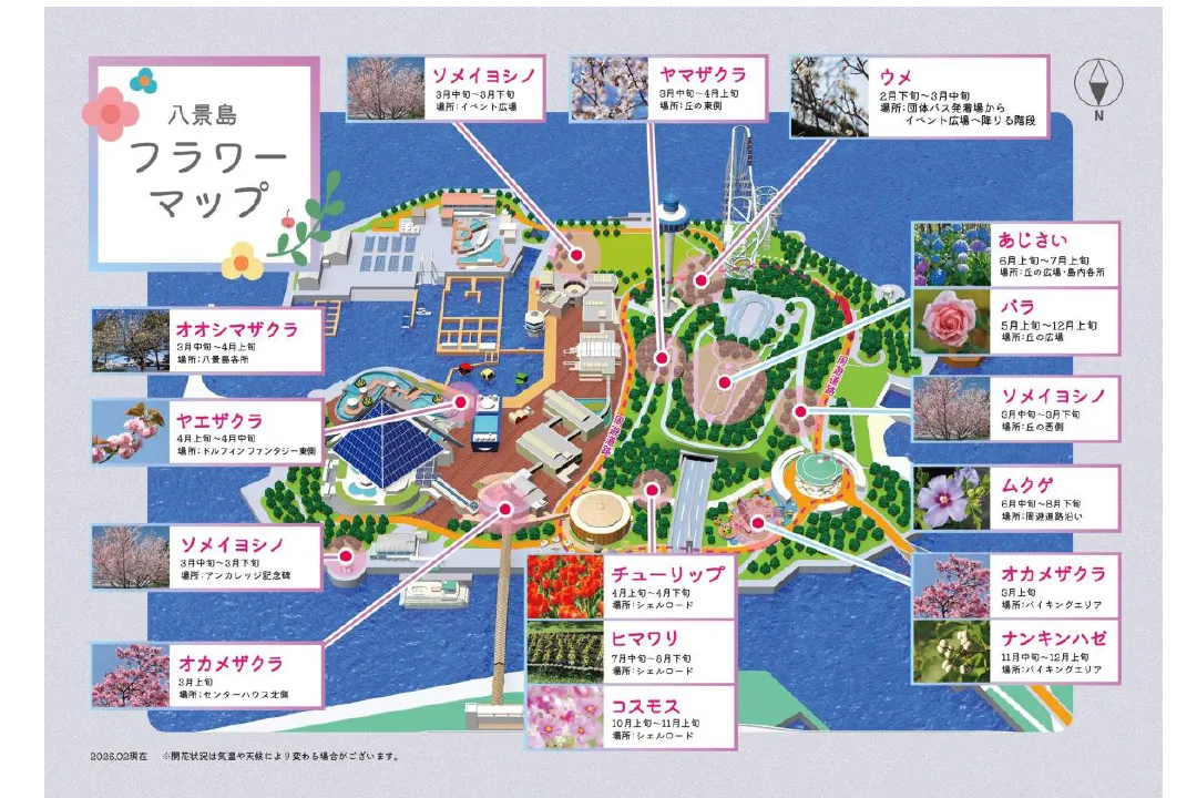 はなパラ_10