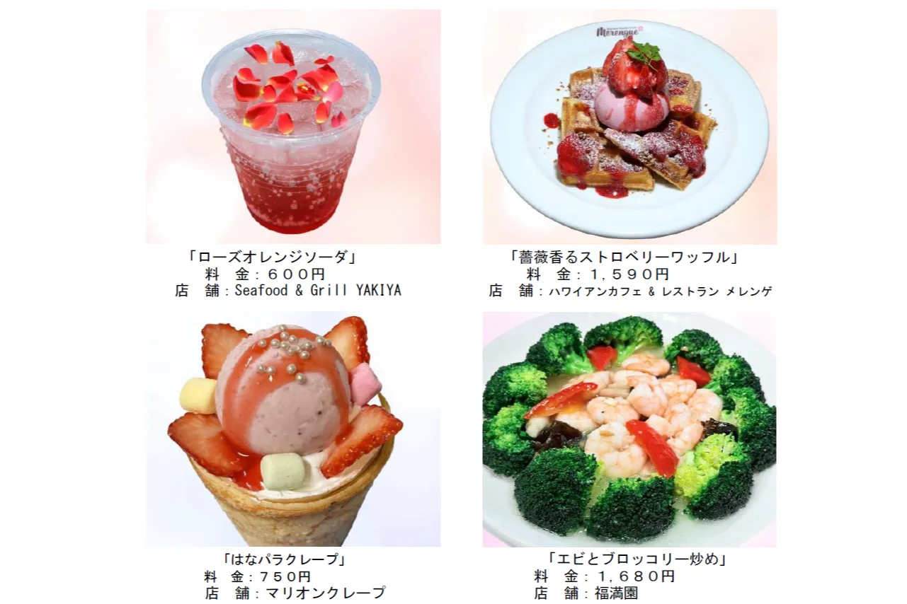 はなパラ_8