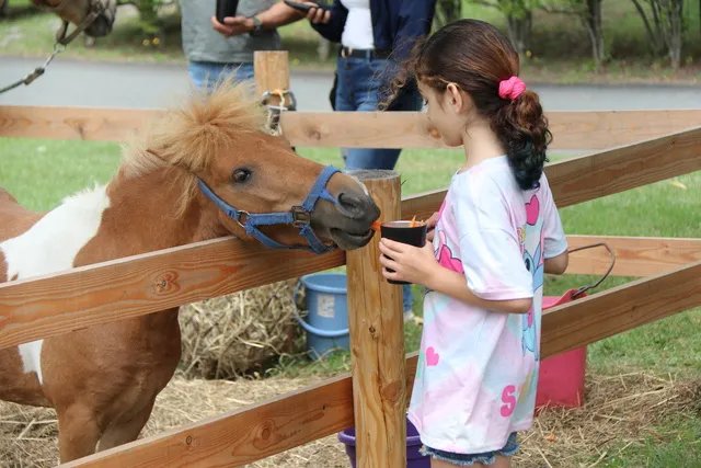 夏の馬フェス