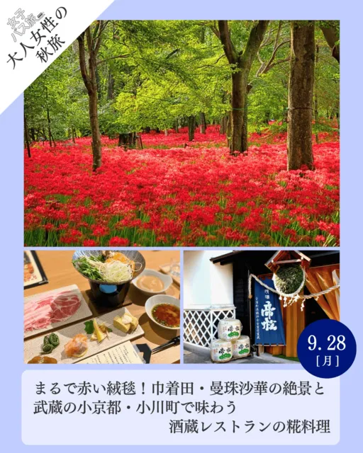 大人女性の秋旅　巾着田曼珠沙華の絶景と武蔵の小京都小川町で味わう酒蔵レストランの糀料理