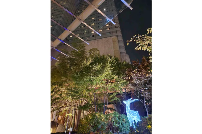 駅前玄関トナカイイルミネーション