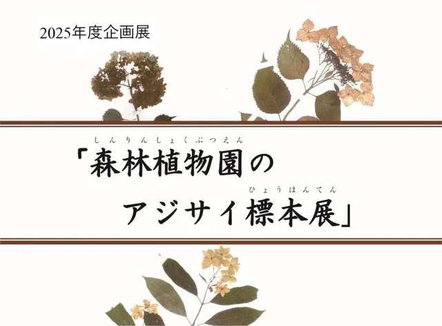企画展「森林植物園のアジサイ標本展」