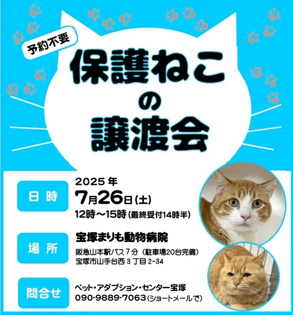 保護ねこ譲渡会 in 宝塚