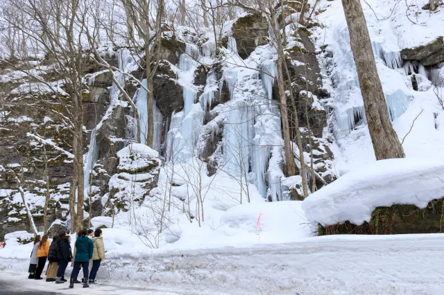 冬の奥入瀬デイタイムツアー