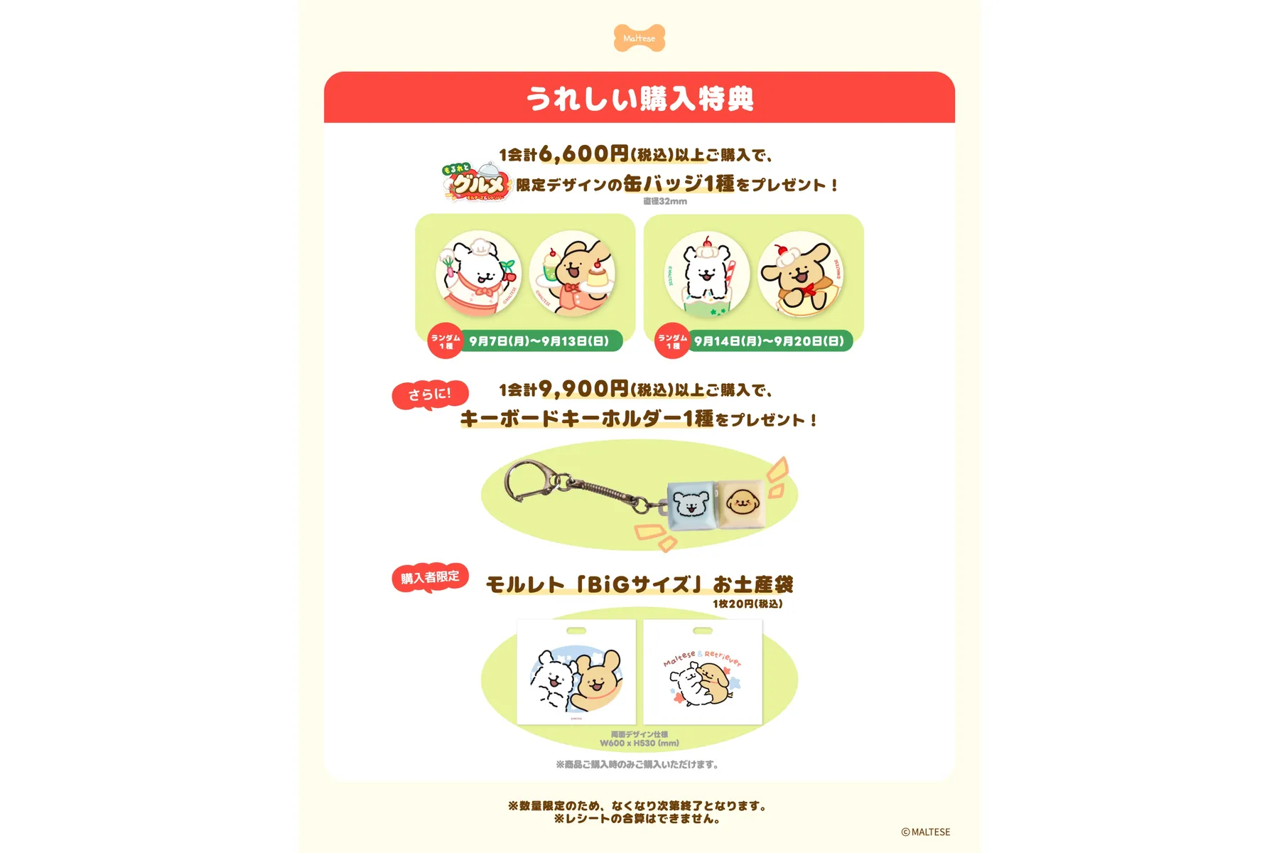 もるれとグルメ_3