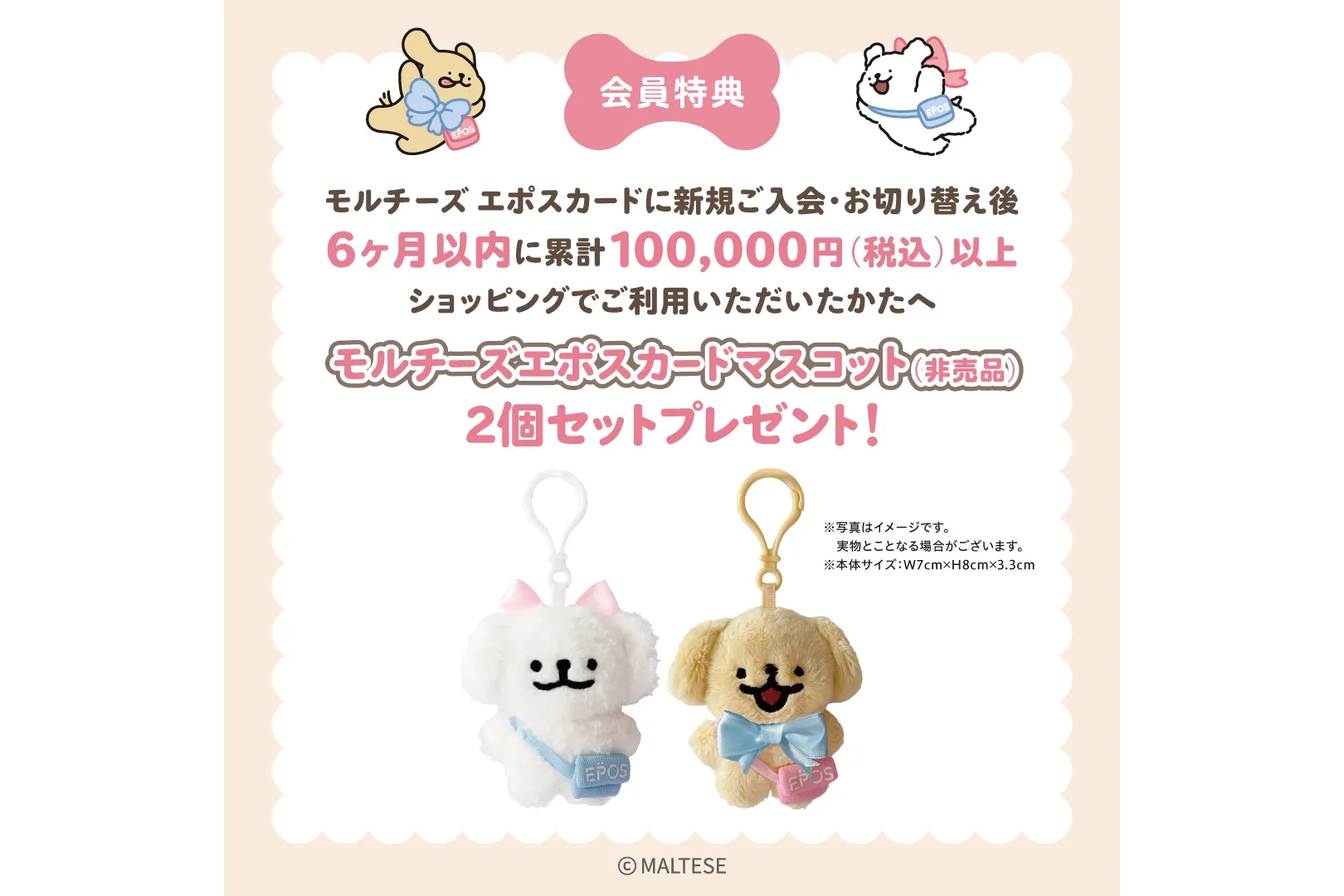 もるれとグルメ_5