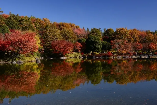 国営昭和記念公園　瀬戸豊彦写真展「東京秋景色」