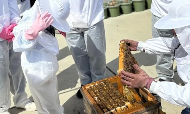 都会で養蜂？夏休み自由研究応援企画 8月
