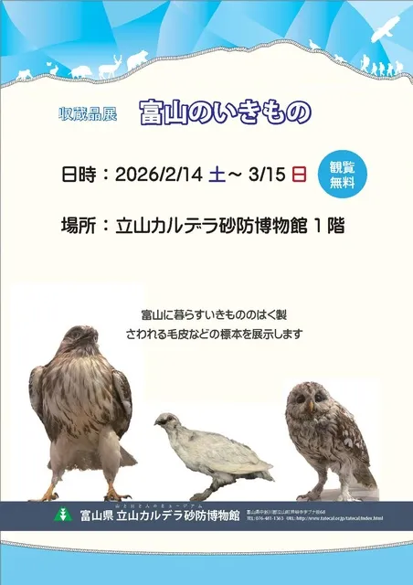 収蔵品展「富山のいきもの」
