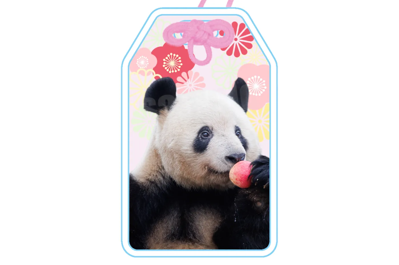 大パンダ展 2026 ～シャンシャンと祝う春節祭～