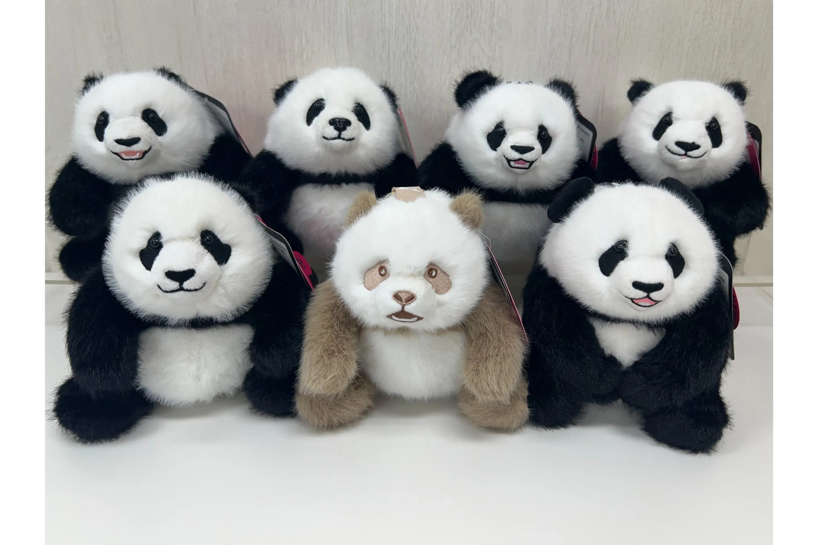 大パンダ展 2026 ～シャンシャンと祝う春節祭～