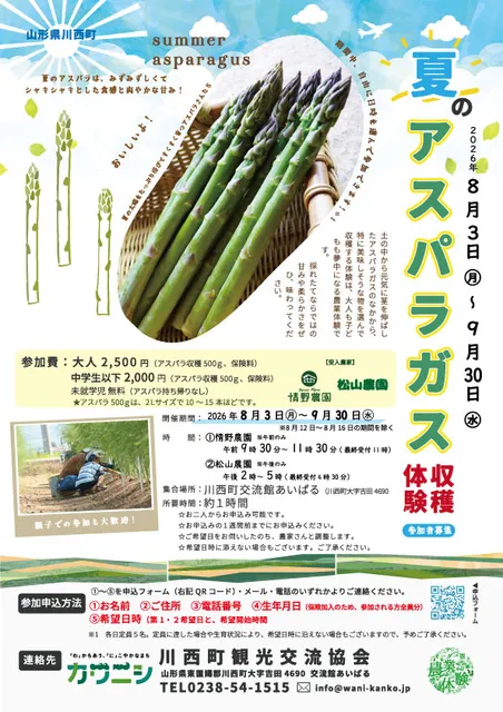 夏のアスパラガス収穫体験