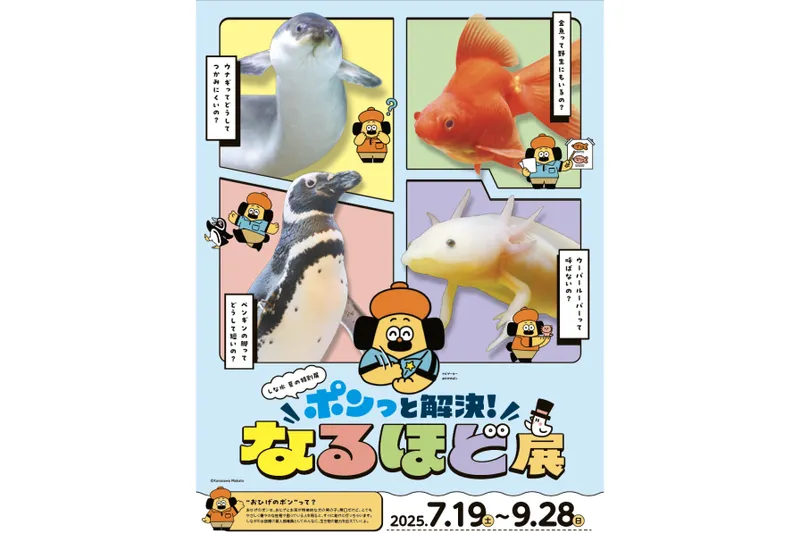 しながわ水族館　ポンっと解決！なるほど展