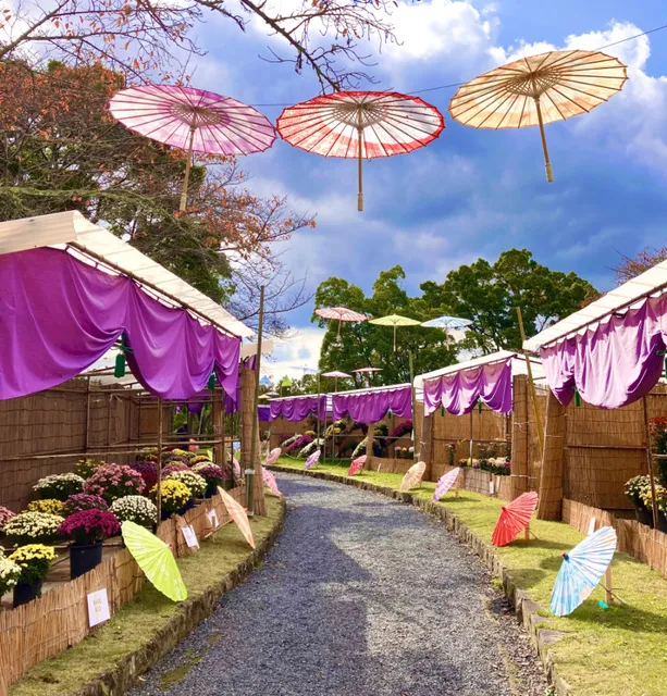 和傘彩る菊花展2025