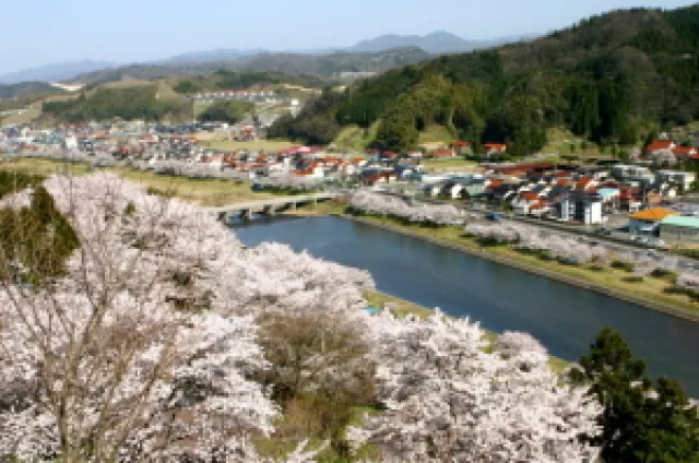 2026雲南市桜まつり_1
