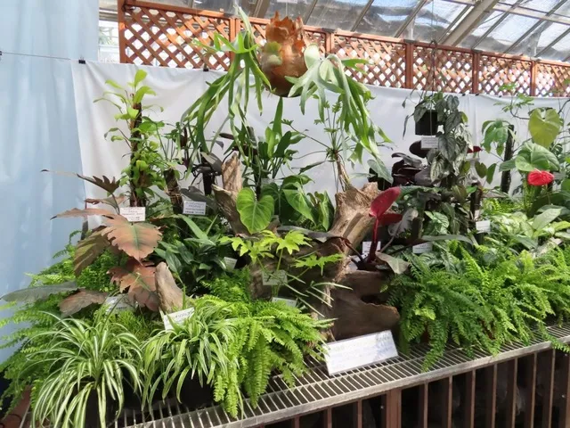 初夏のカラフルリーフ展