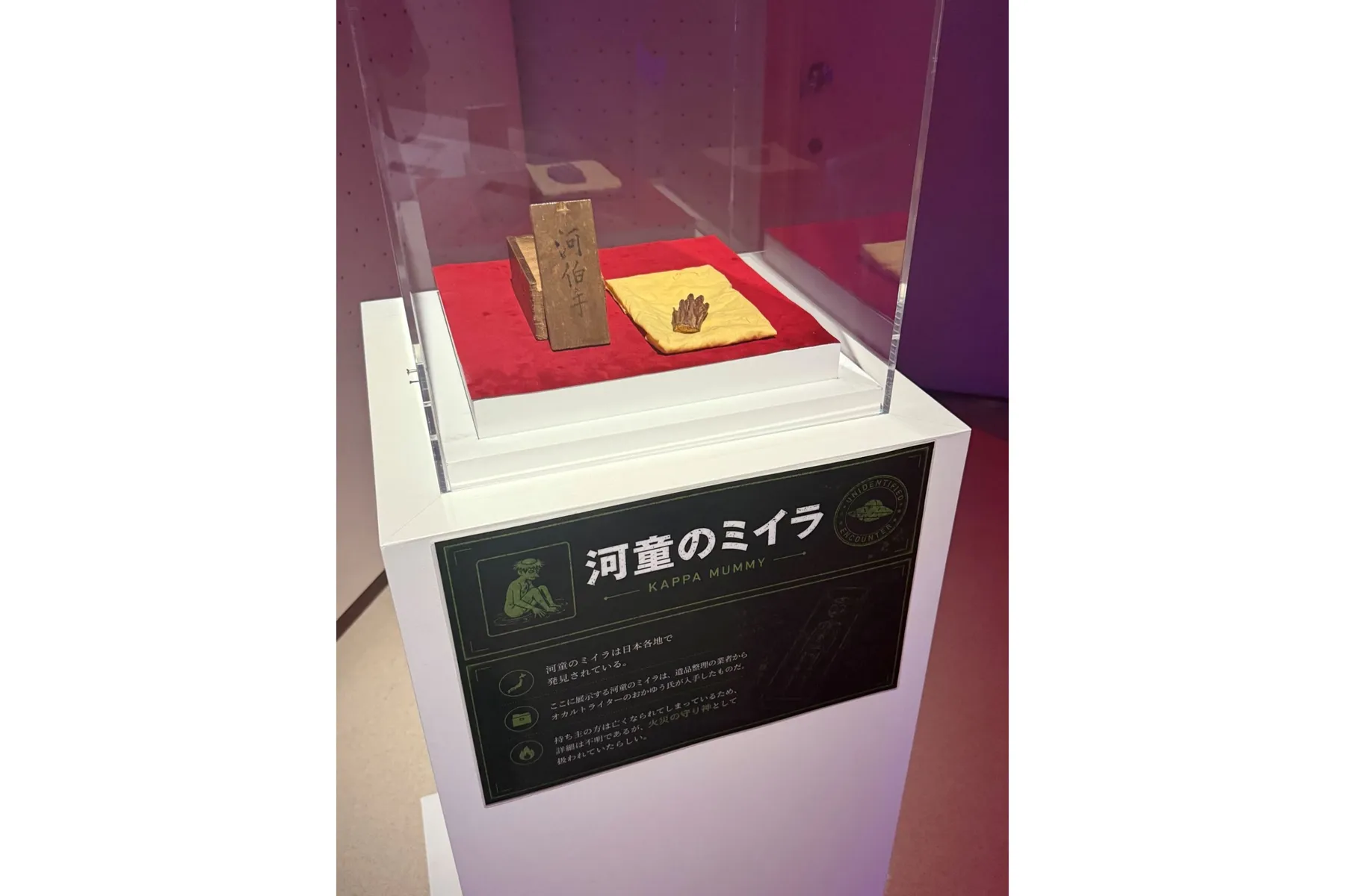 未確認生物展（UMA）展 　北千住マルイ_5