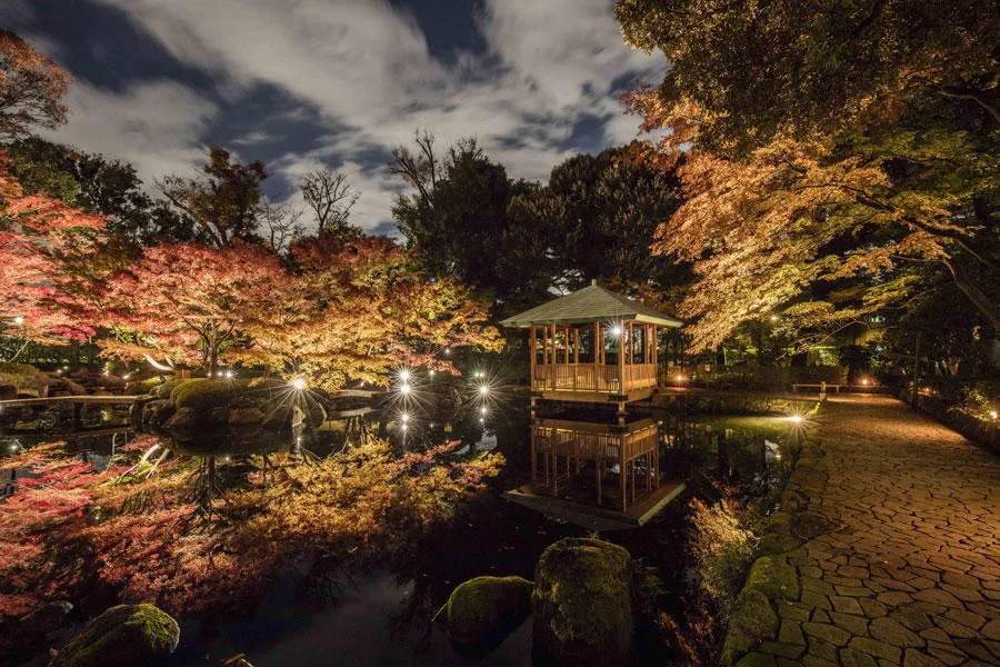 大田黒公園 紅葉ライトアップ2026
