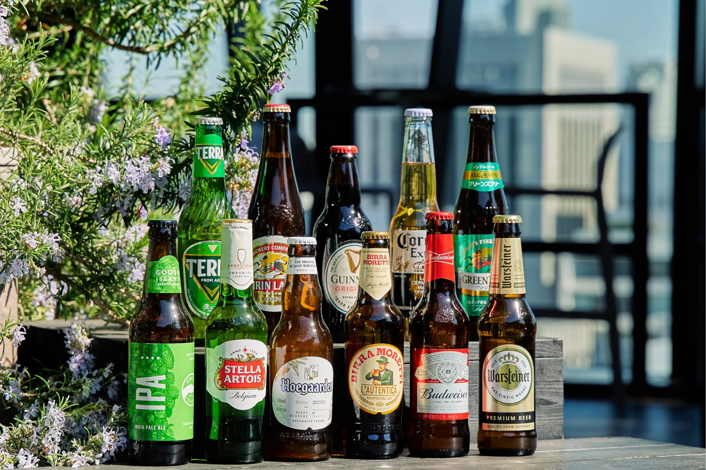★cima★ビール お酒 まとめ売り 48本 バーベキュー イベント など The Mint Ginza ルーフトップBBQ・ビアテラス