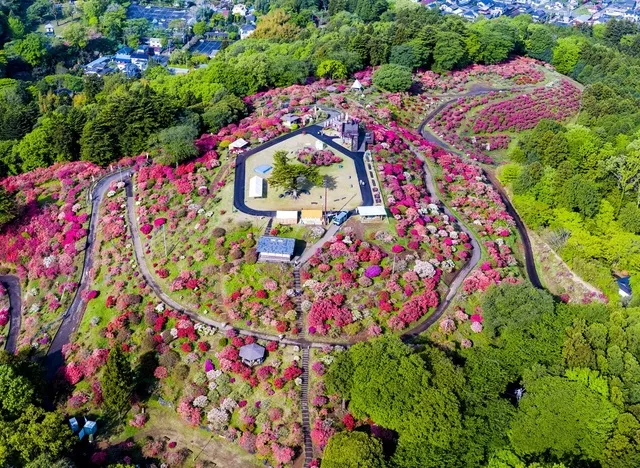 第55回笠間つつじまつり