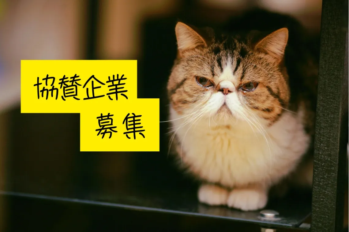 第2回ねこフェス2026　ねこと人の暮らしを、もっと豊かに。_4