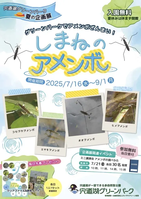 宍道湖グリーンパーク夏の企画展 しまねのアメンボ
