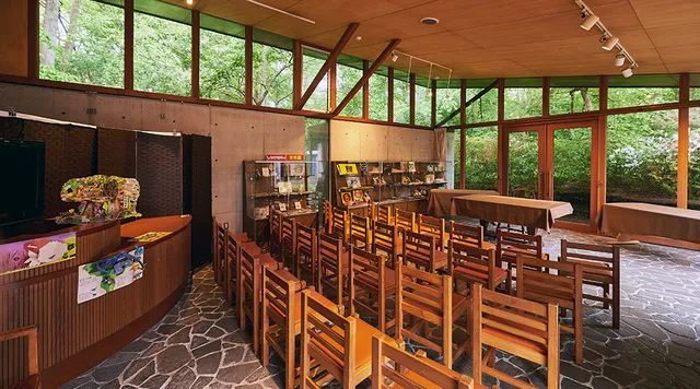 「魔法の絵本」学習プログラム