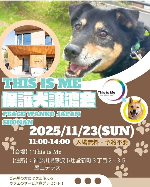 保護犬譲渡会　This is Me