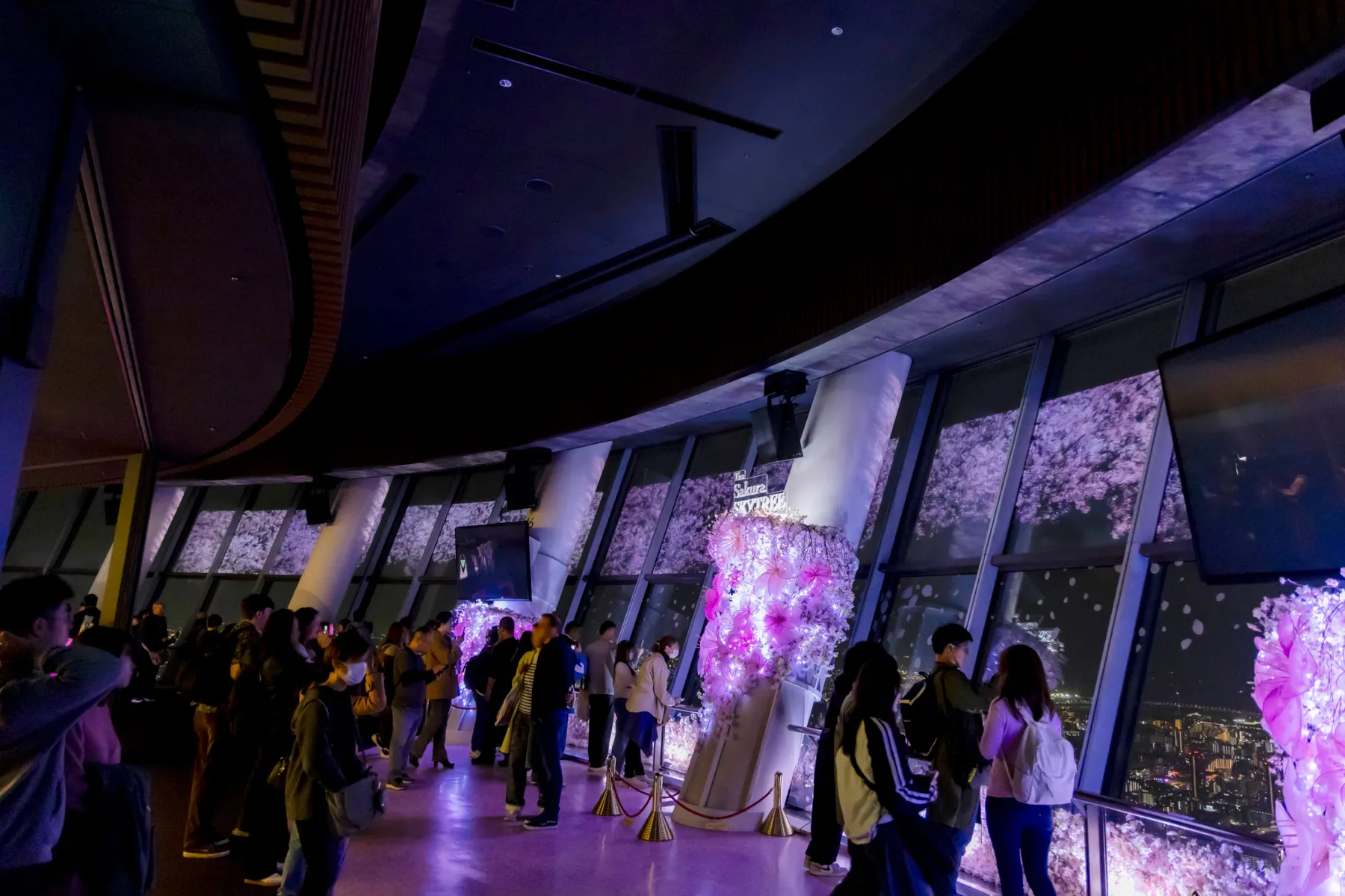 THE Sakura SKYTREE(R)～空の上の桜に、会いに行く～_8