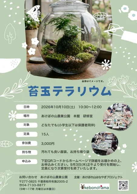 苔テラリウム