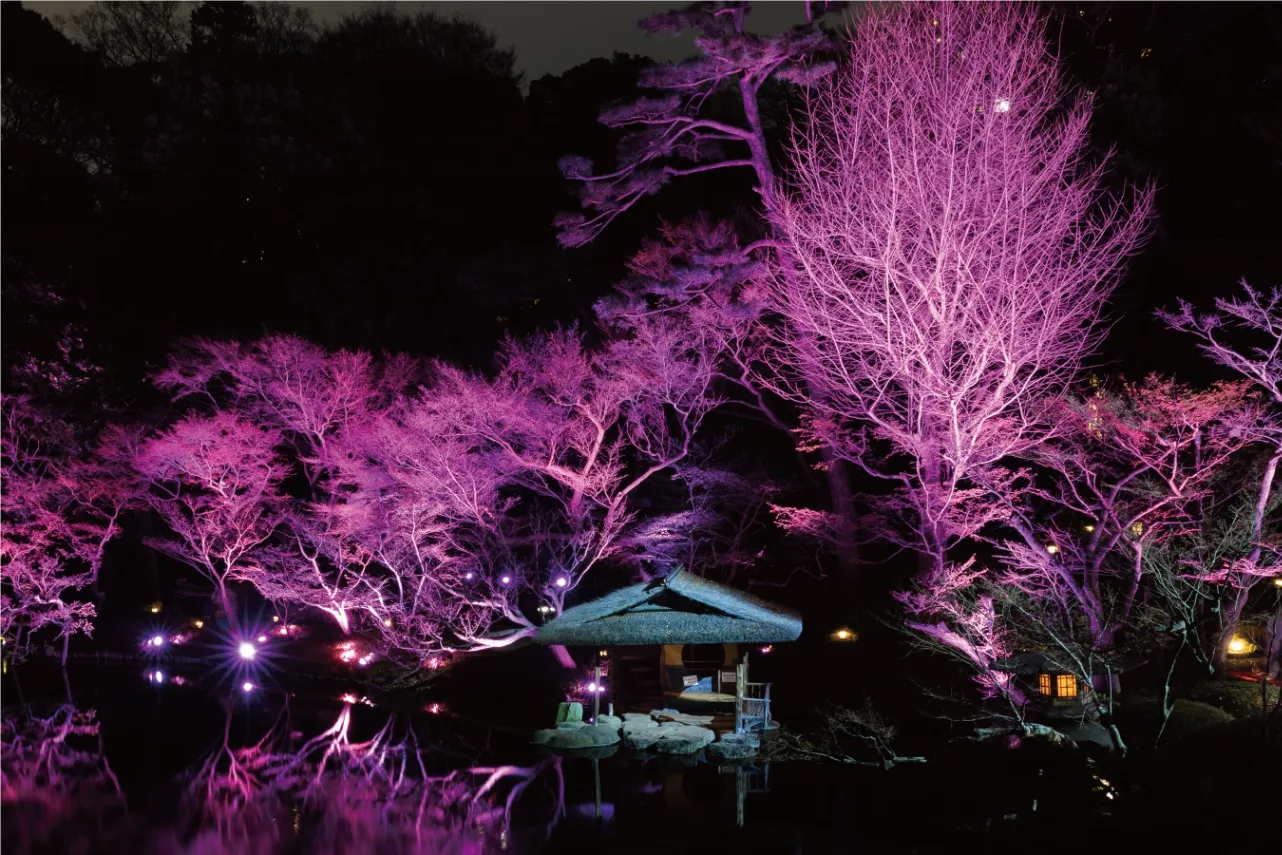 TOKYO SAKURA GARDEN SPRING FESTIVAL 2024
