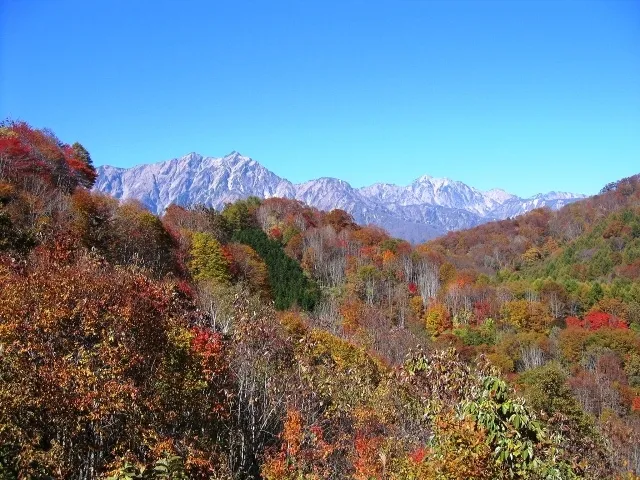 【紅葉・見ごろ】小熊山