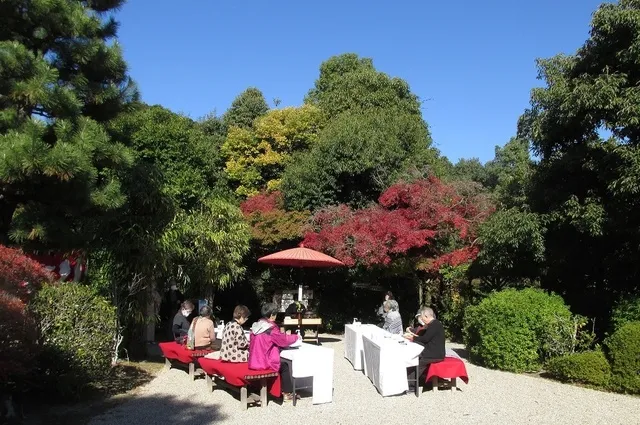 紅葉茶会（東山荘 市民茶会11月）
