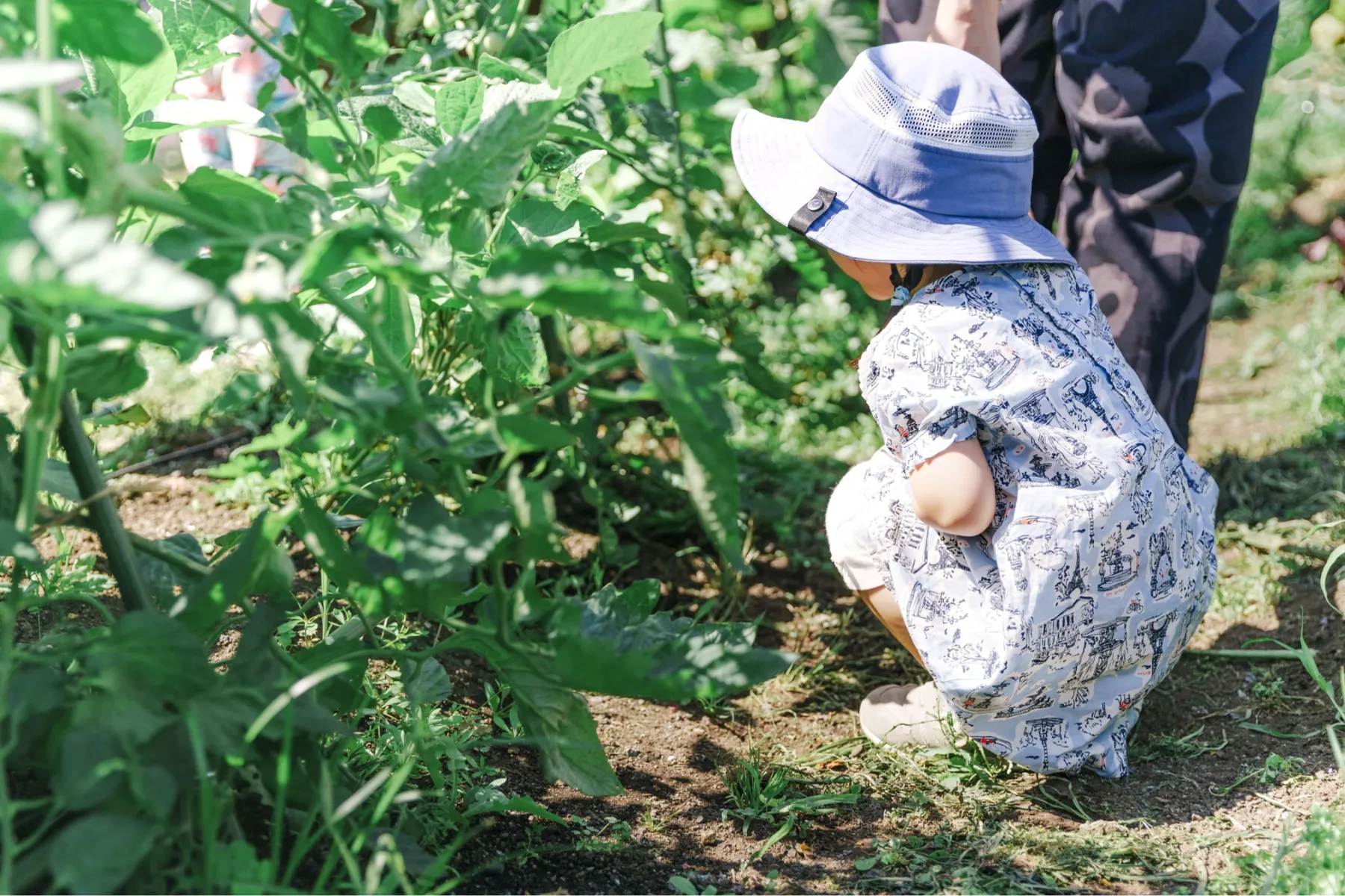 FAMILY GREEN アトリエ GW特別編―緑が誘う、100のあそびと表現―_6