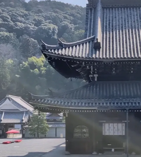 「夏の早朝・特別企画」　拝観前の仏殿で禅ヨガと朝粥体験 in 御寺泉涌寺