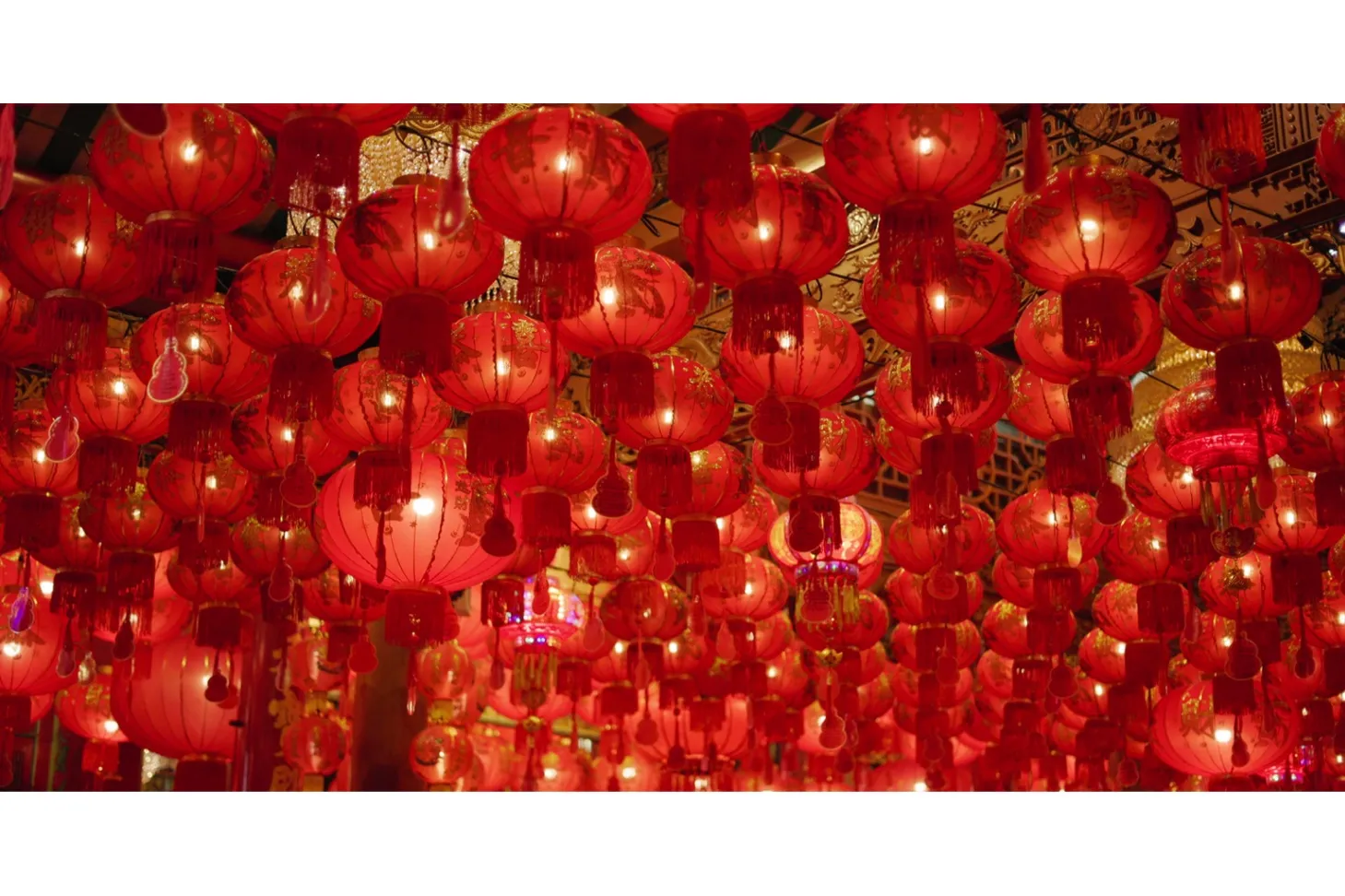 台湾發祭 2025_3