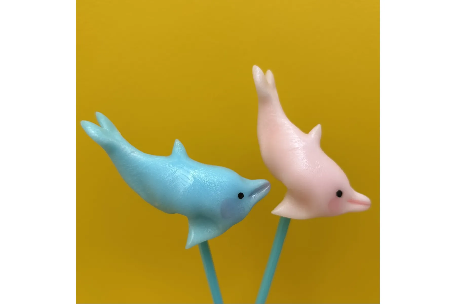 旅する水族館 2026_11