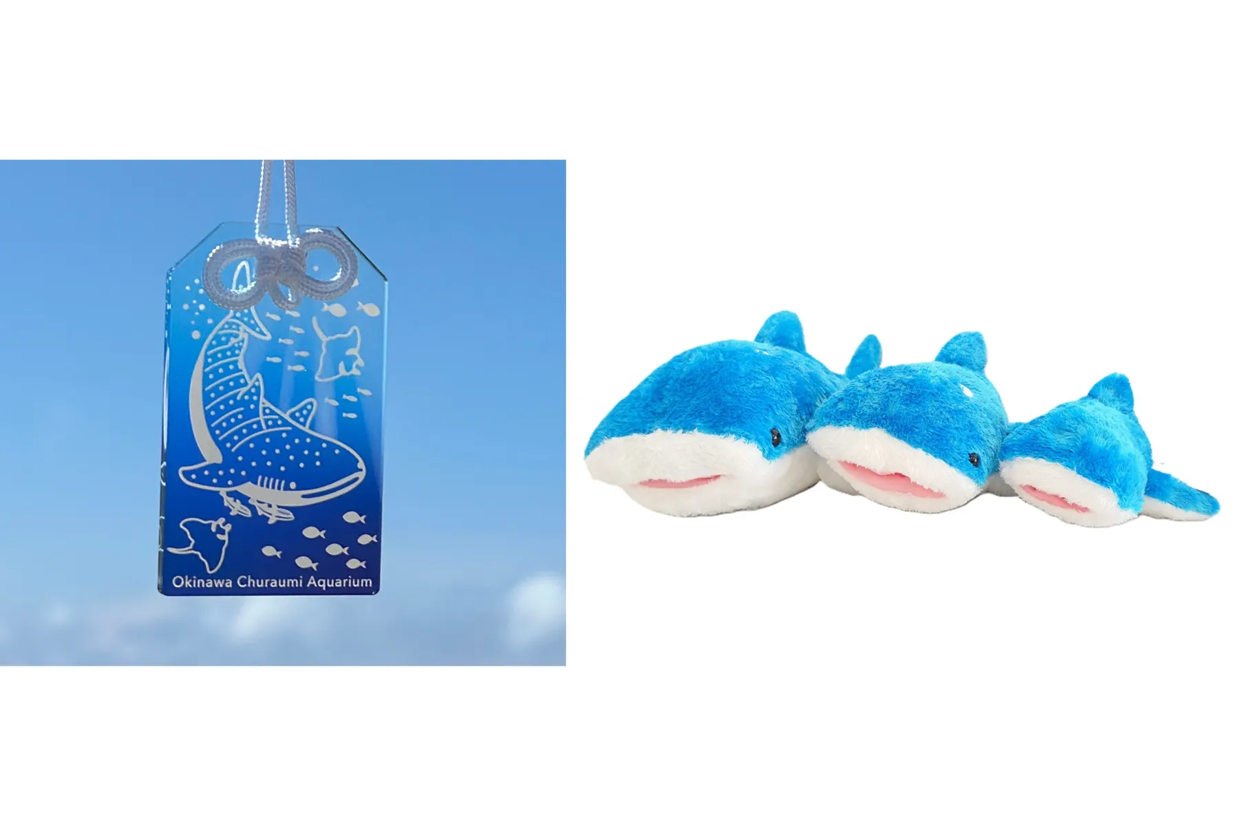 旅する水族館 2026_3