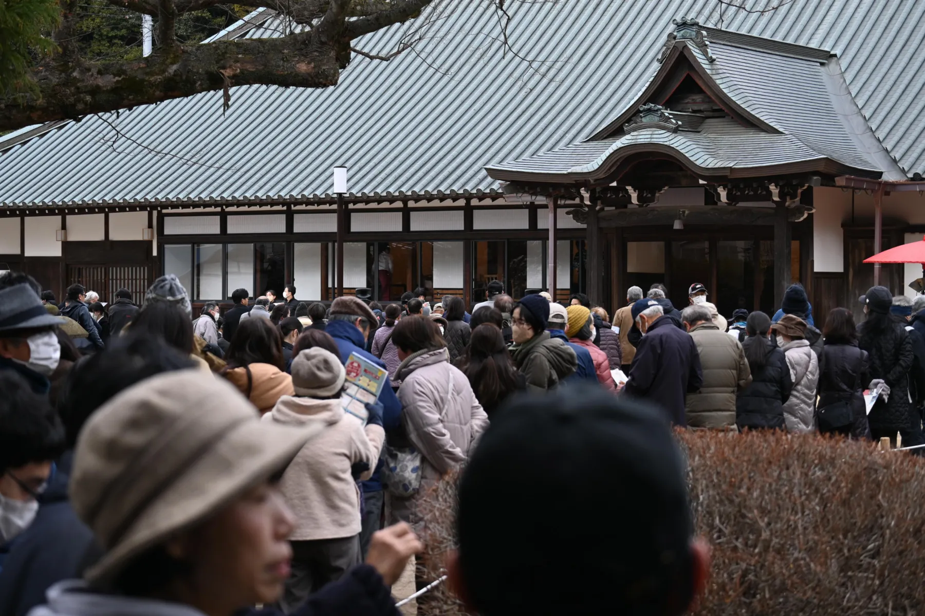 ようこそ！鶴川ＯＭＯＴＥＮＡＳＨＩ祭り　2025秋_3