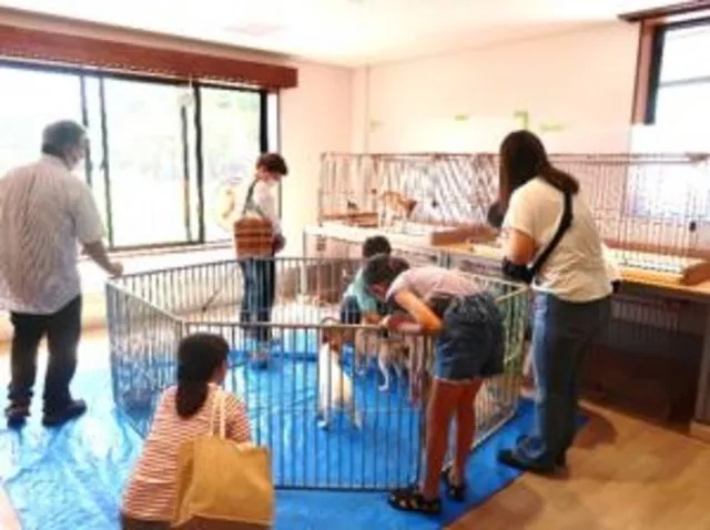 広島県動物愛護センター 犬の譲渡会（9月）