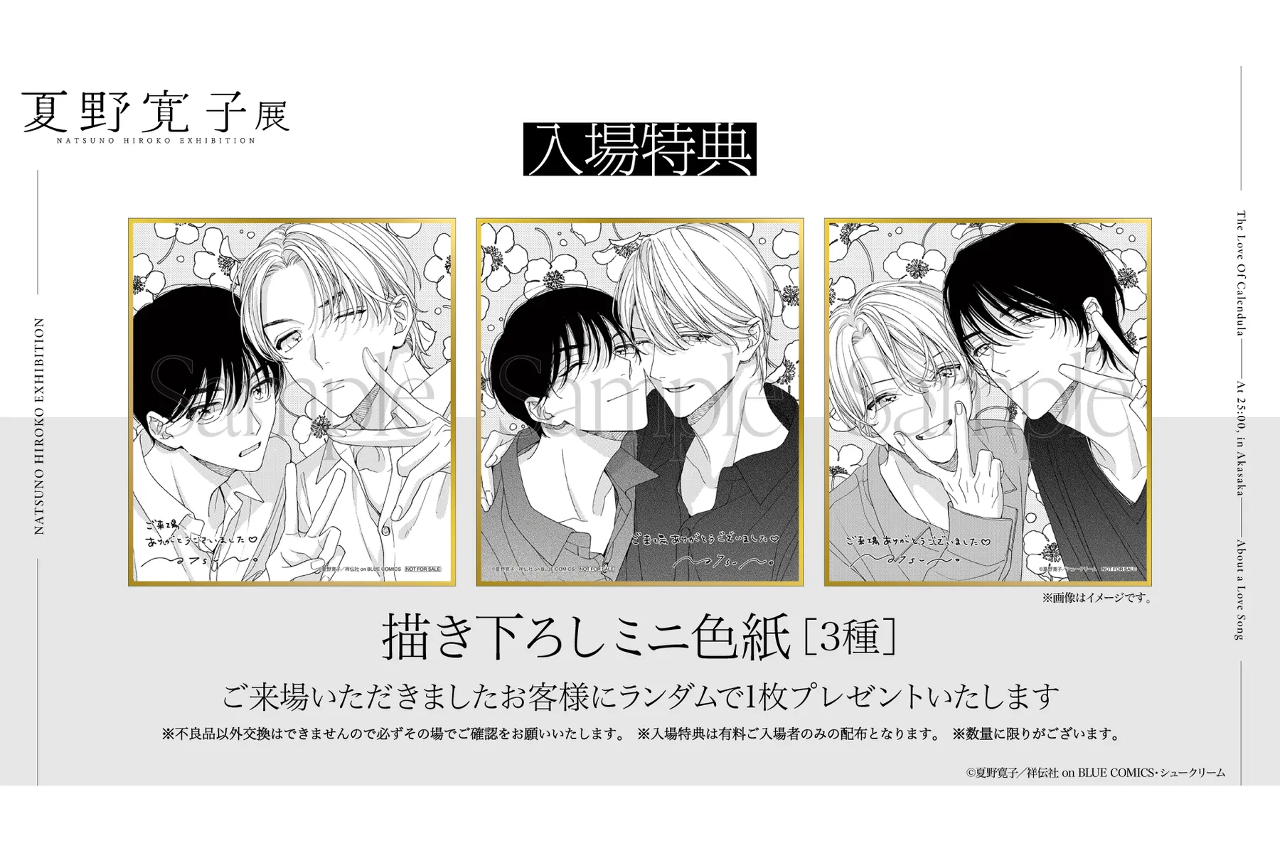 夏野寛子展_2
