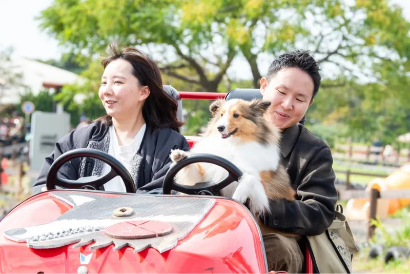 園内のアトラクションにも愛犬と一緒に乗れる！(GOGOカート)
