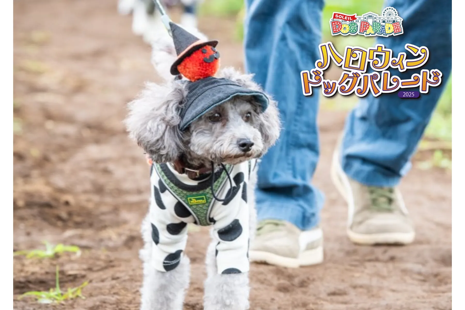 SOLEIL HALLOWEEN DOG PARADE 2025_14
