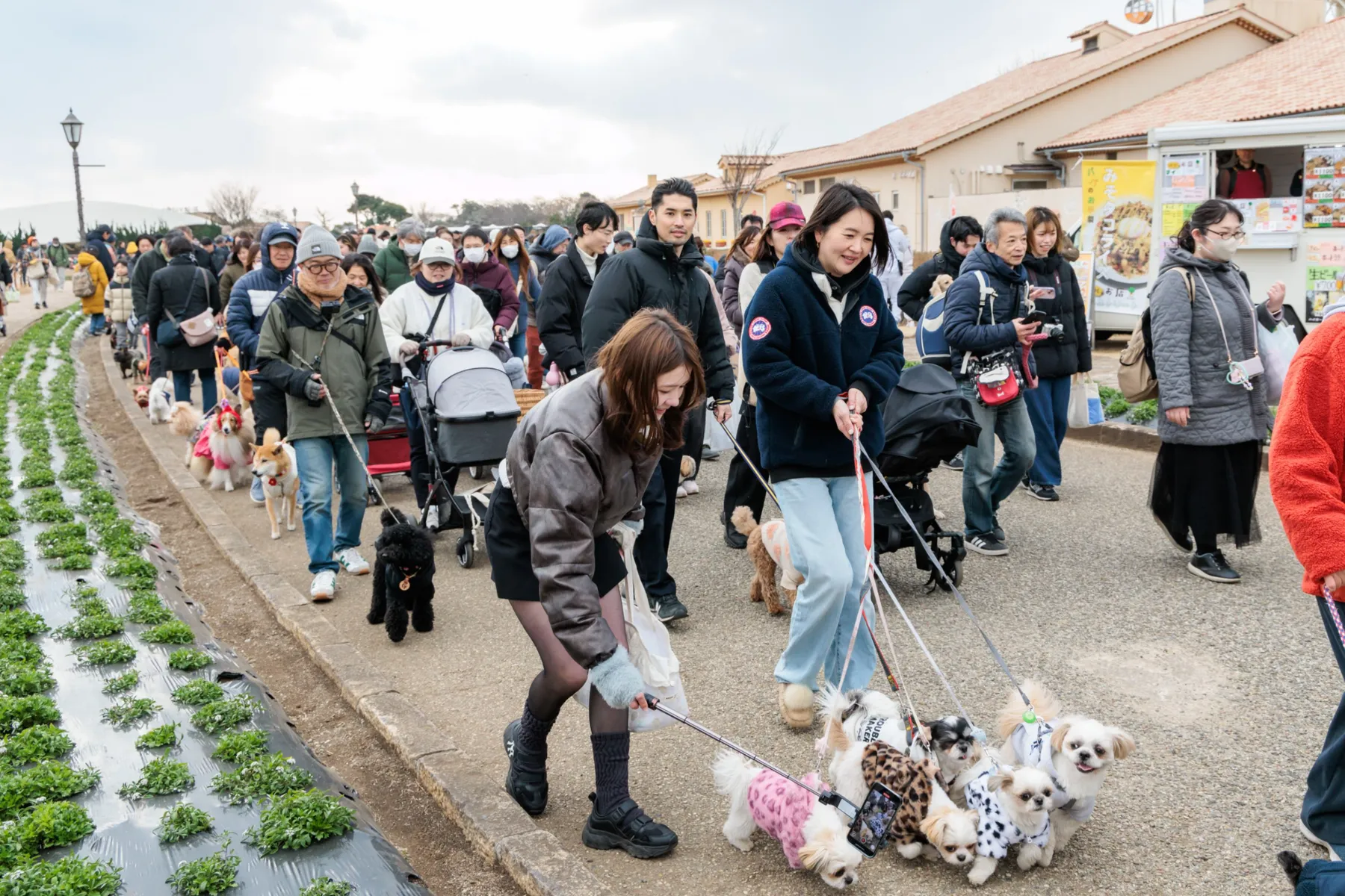 SOLEIL HALLOWEEN DOG PARADE 2025_4