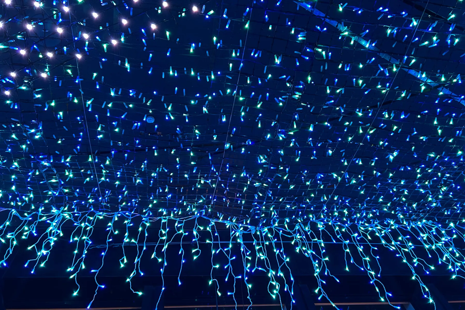 東京タワー 天の川イルミネーション 2026_11