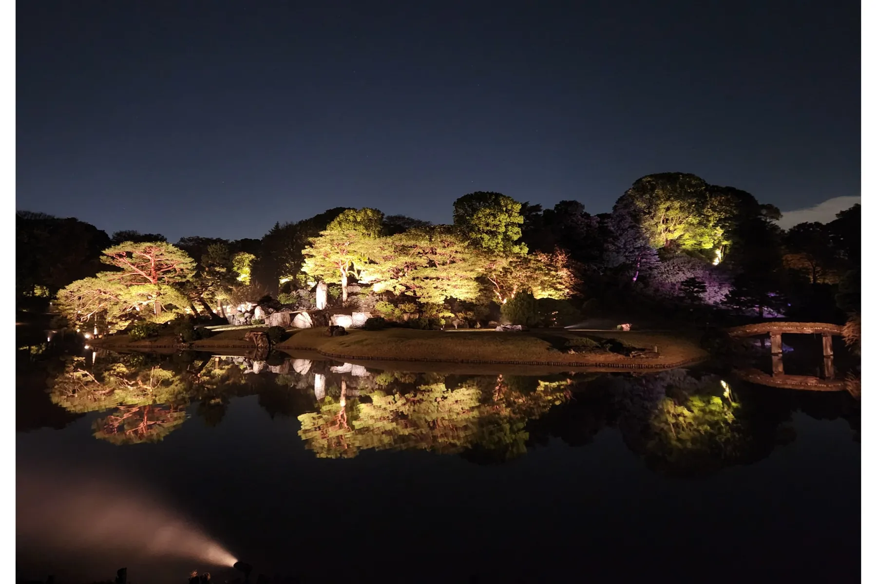 六義園の紅葉情報_1